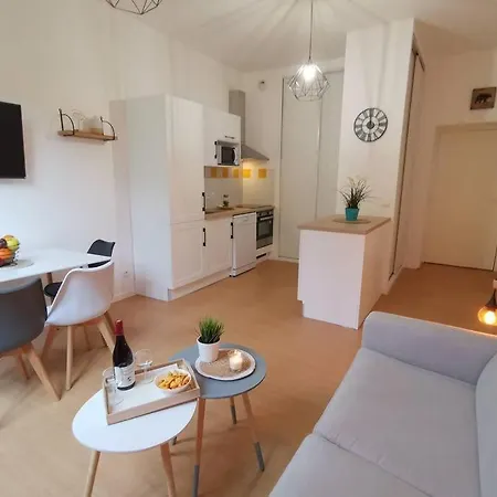 Nouveau ! Magnifique T2 Face Aux Thermes * Aulus-les-Bains